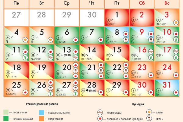 Какая сейчас ссылка на кракен