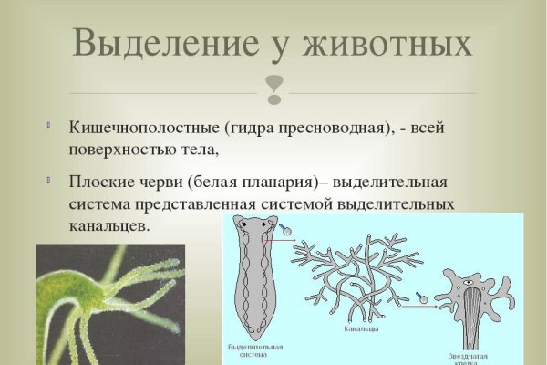 Кракен это современный даркнет маркет плейс