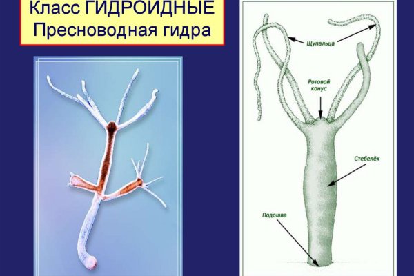 Даркмаркет кракен